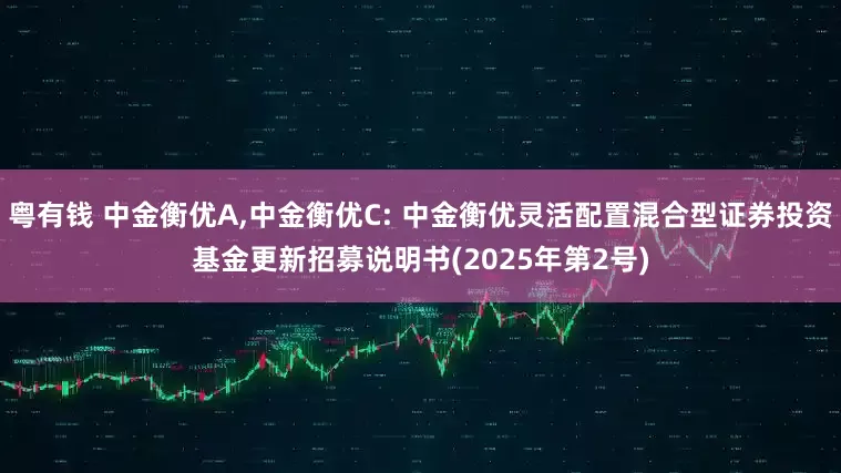 粤有钱 中金衡优A,中金衡优C: 中金衡优灵活配置混合型证券投资基金更新招募说明书(2025年第2号)