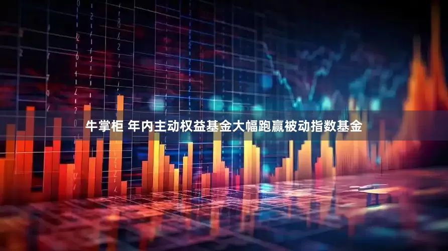 牛掌柜 年内主动权益基金大幅跑赢被动指数基金