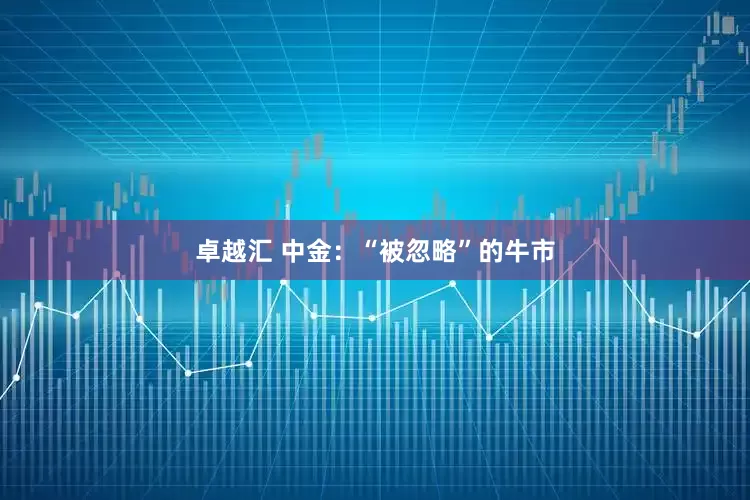 卓越汇 中金：“被忽略”的牛市